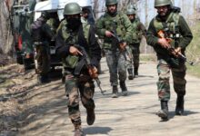 vbk kulgam na